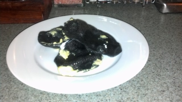 IMG_20130331_214211_484