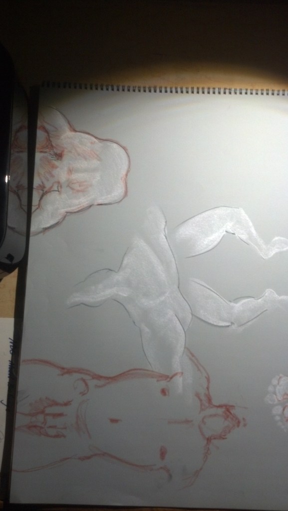 IMG_20140813_022721_077