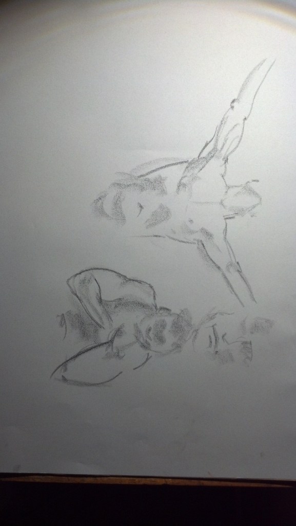 IMG_20140813_023105_440