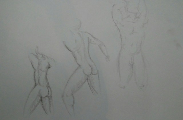 IMG_20160227_210256.jpg image